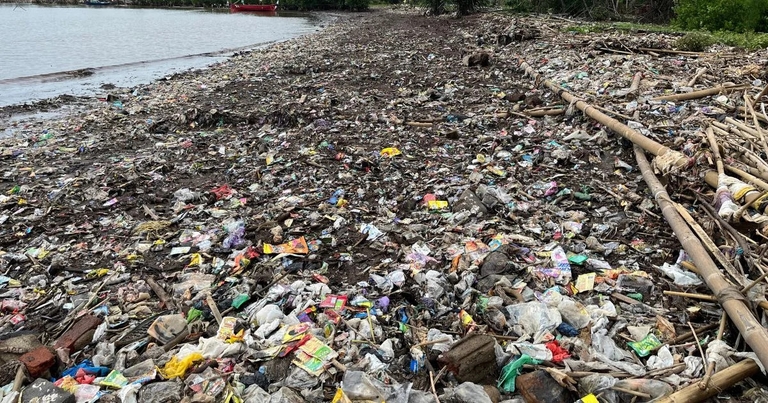 Farmer in a field of crops