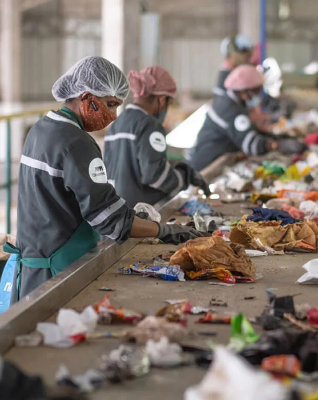 Beekeeper tending to hives