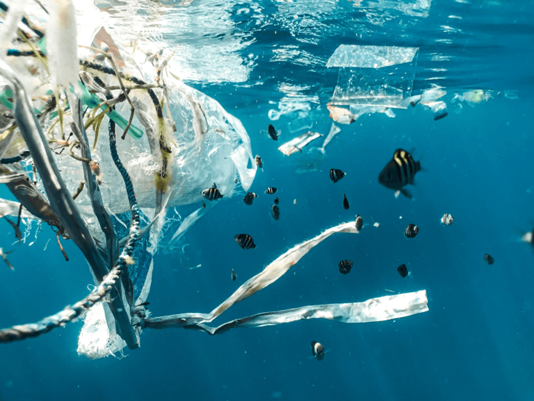 ocean plastic