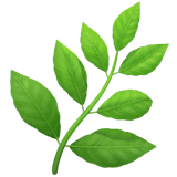 /images/emojis/herb.png