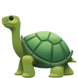 turtle scroll icon 1