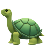 turtle scroll icon 1