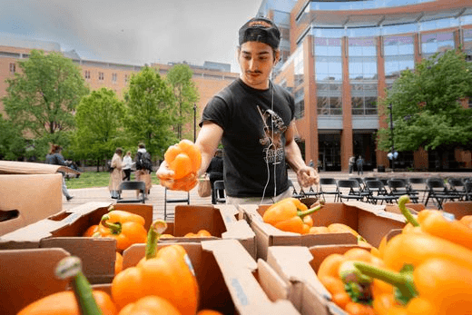 Save food waste. Feed the people.