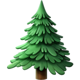 Redwood Protection