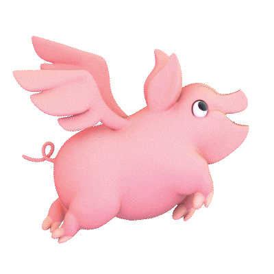 DDC Pig