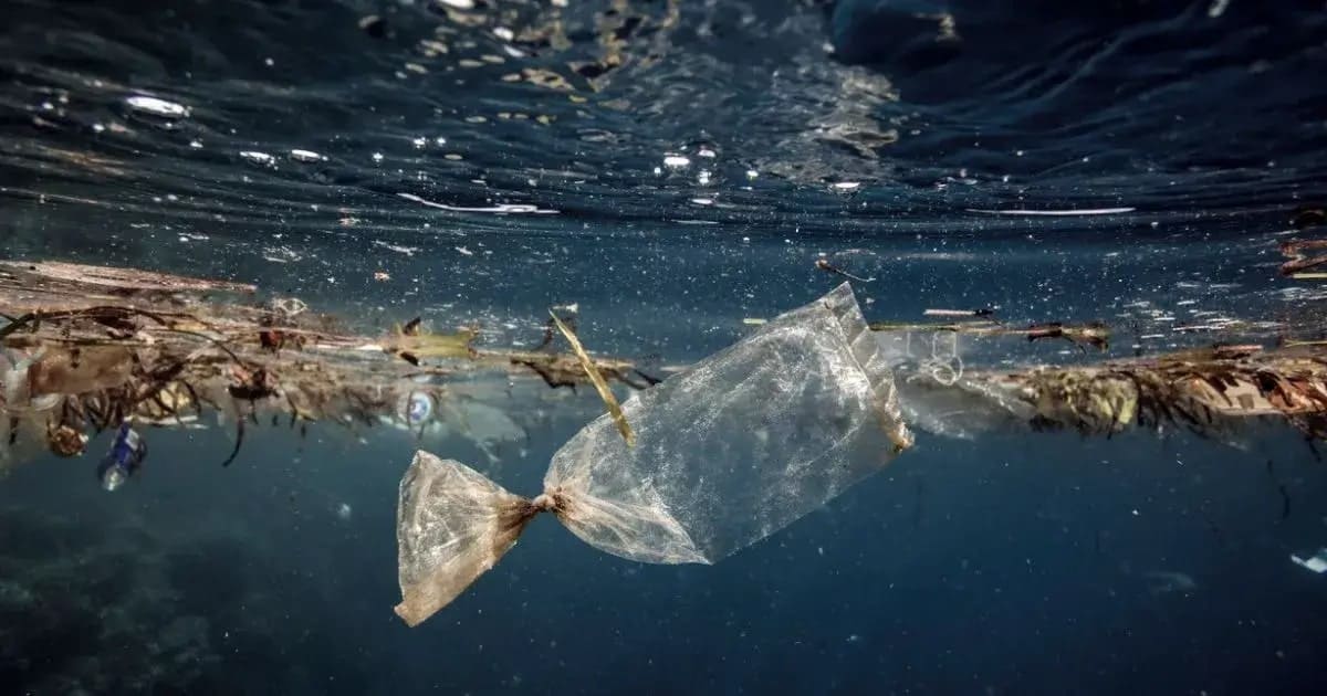 Help Plastic Fischer Rebuild!